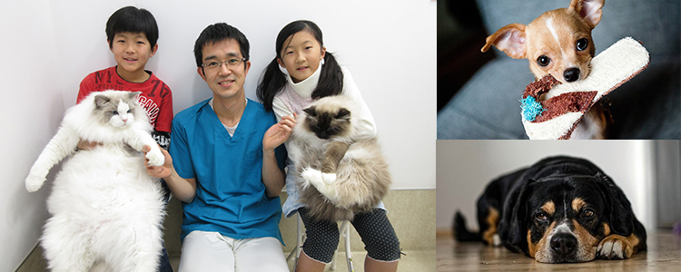 動物たちそれぞれの性格に合わせた対応